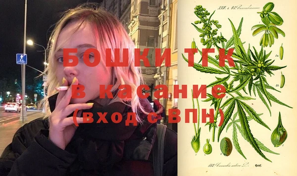 гидра Богородицк
