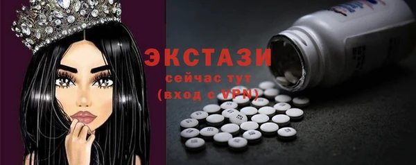 гидра Богородицк