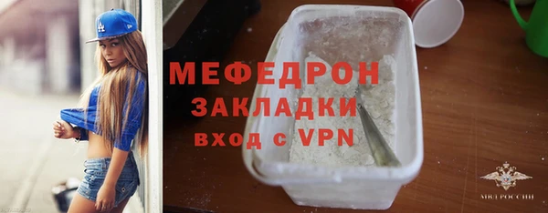 гидра Богородицк