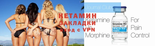 гидра Богородицк