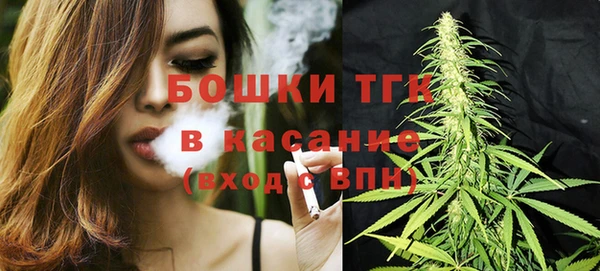 гидра Богородицк