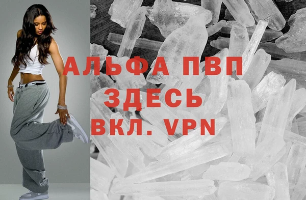 ешки Богданович