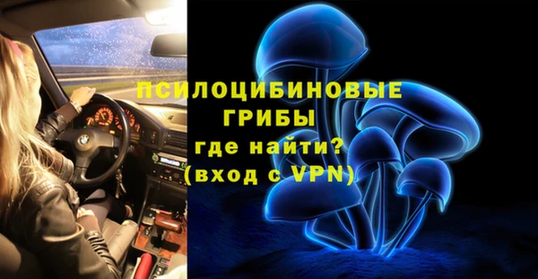 гидра Богородицк