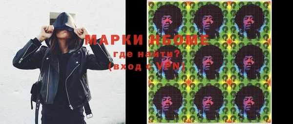 гидра Богородицк