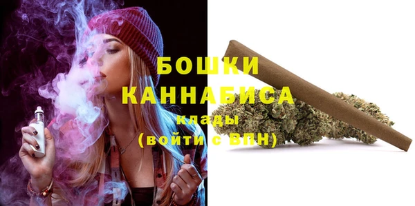 ешки Бородино