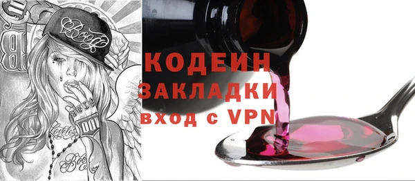 гидра Богородицк