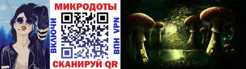 Псилоцибиновые грибы мицелий  МЕГА ONION  Могоча 