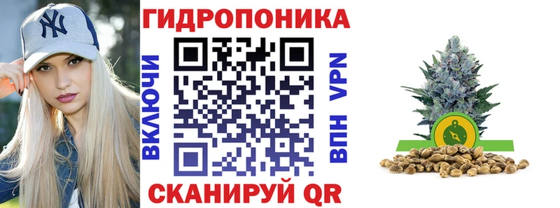 KRAKEN ССЫЛКА  Могоча  Бошки Шишки тримм  где купить наркоту 